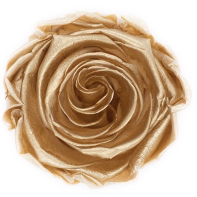Metallic gold eternal preserved rose